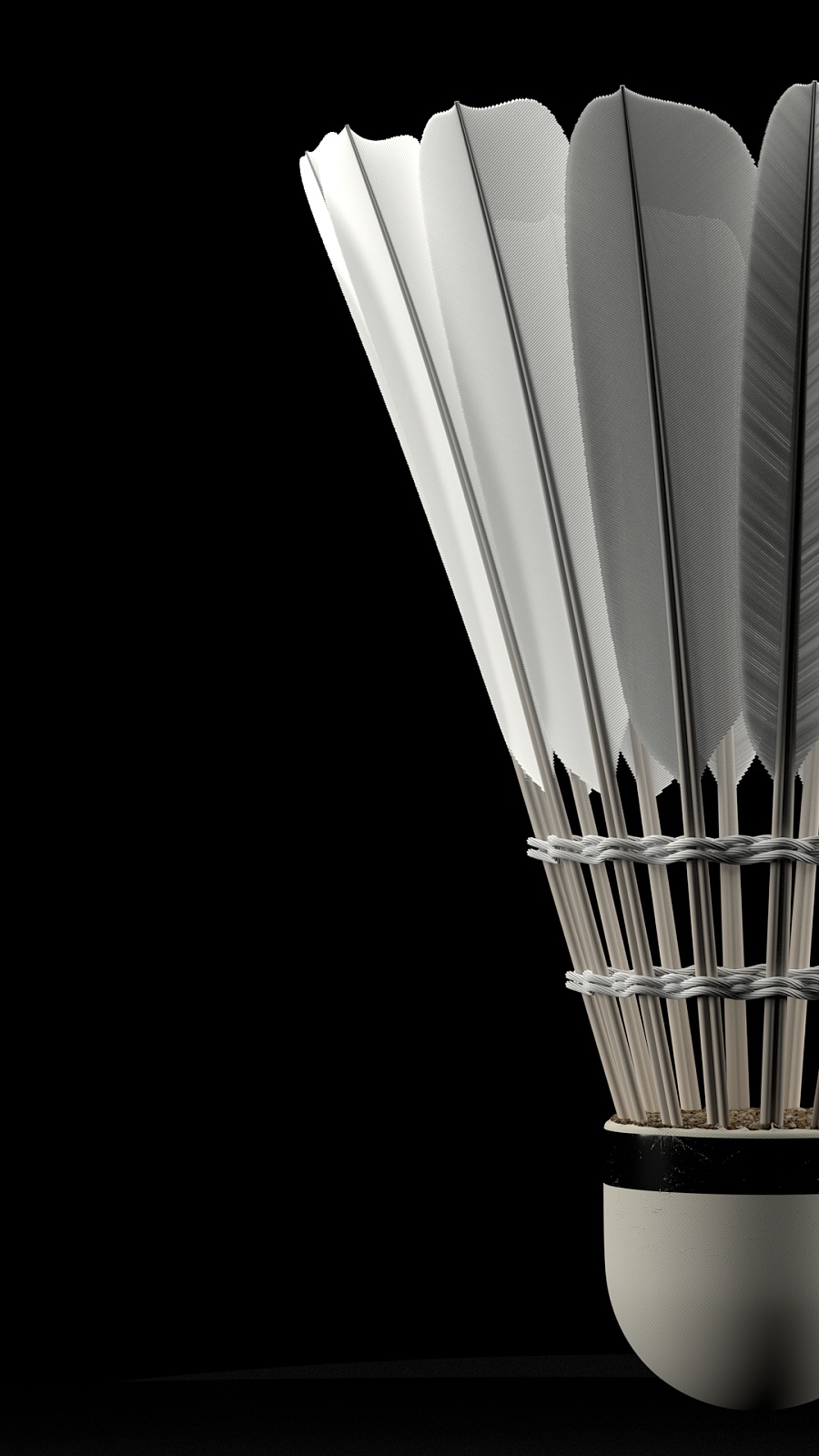 文化交流的 文化交流的