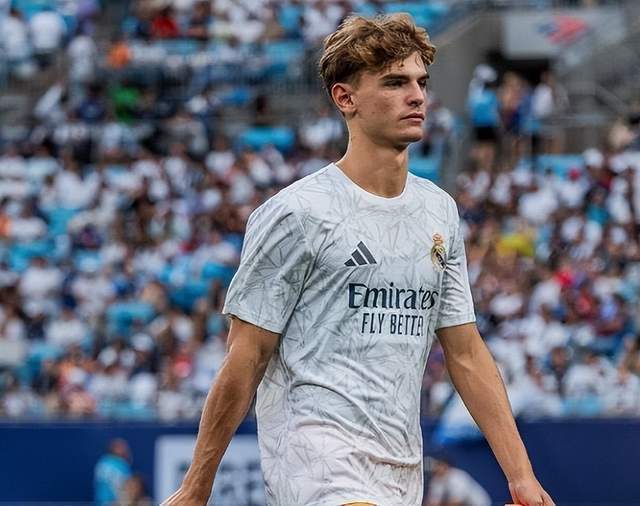 阵容结构来 阵容结构来