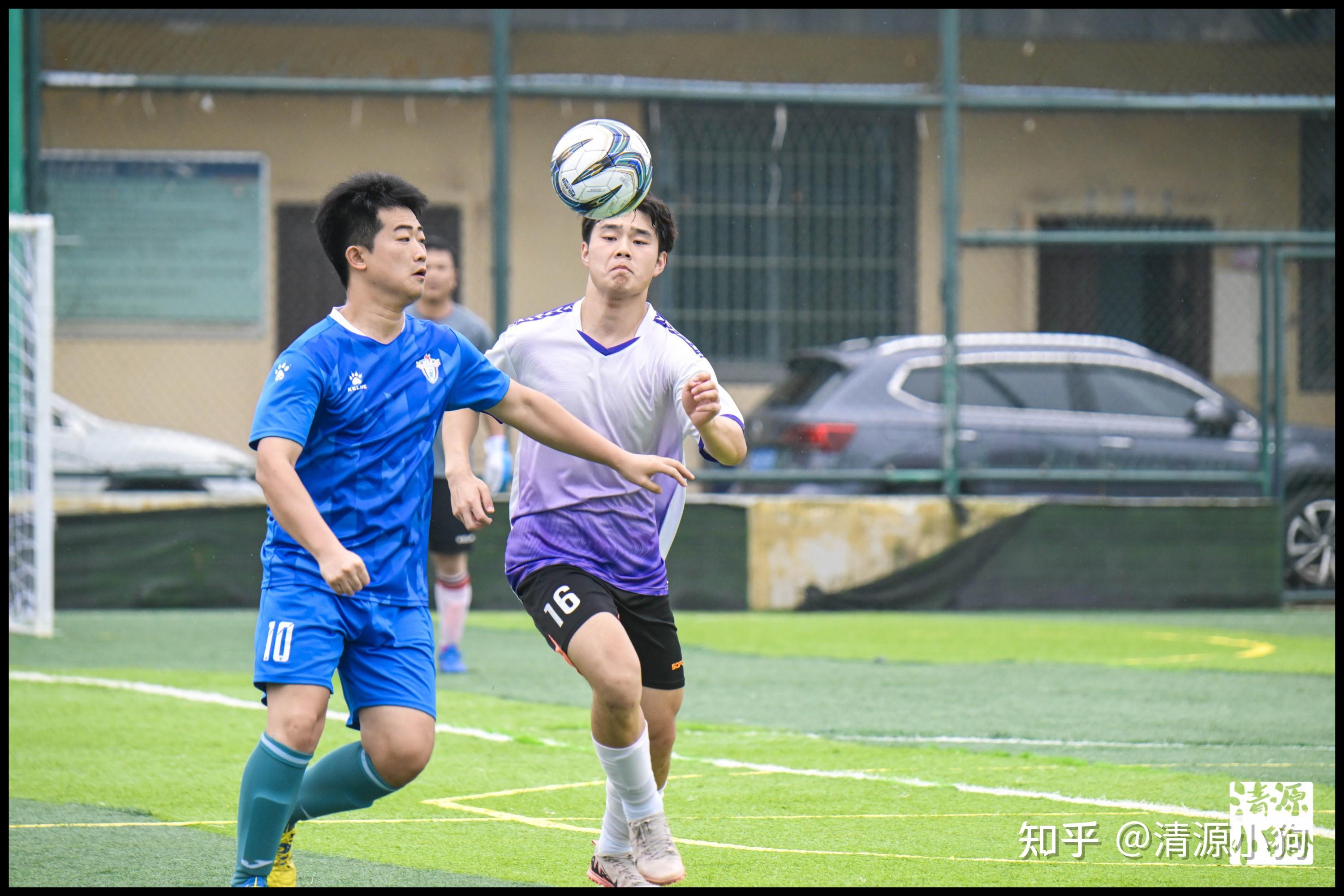 完全不同 完全不同